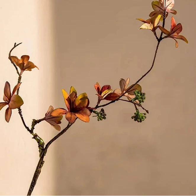 Vase en verre dépoli – Décoration florale & hydroponique