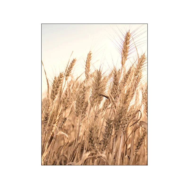 Toile Murale Abstraite Étoile du Cinéma